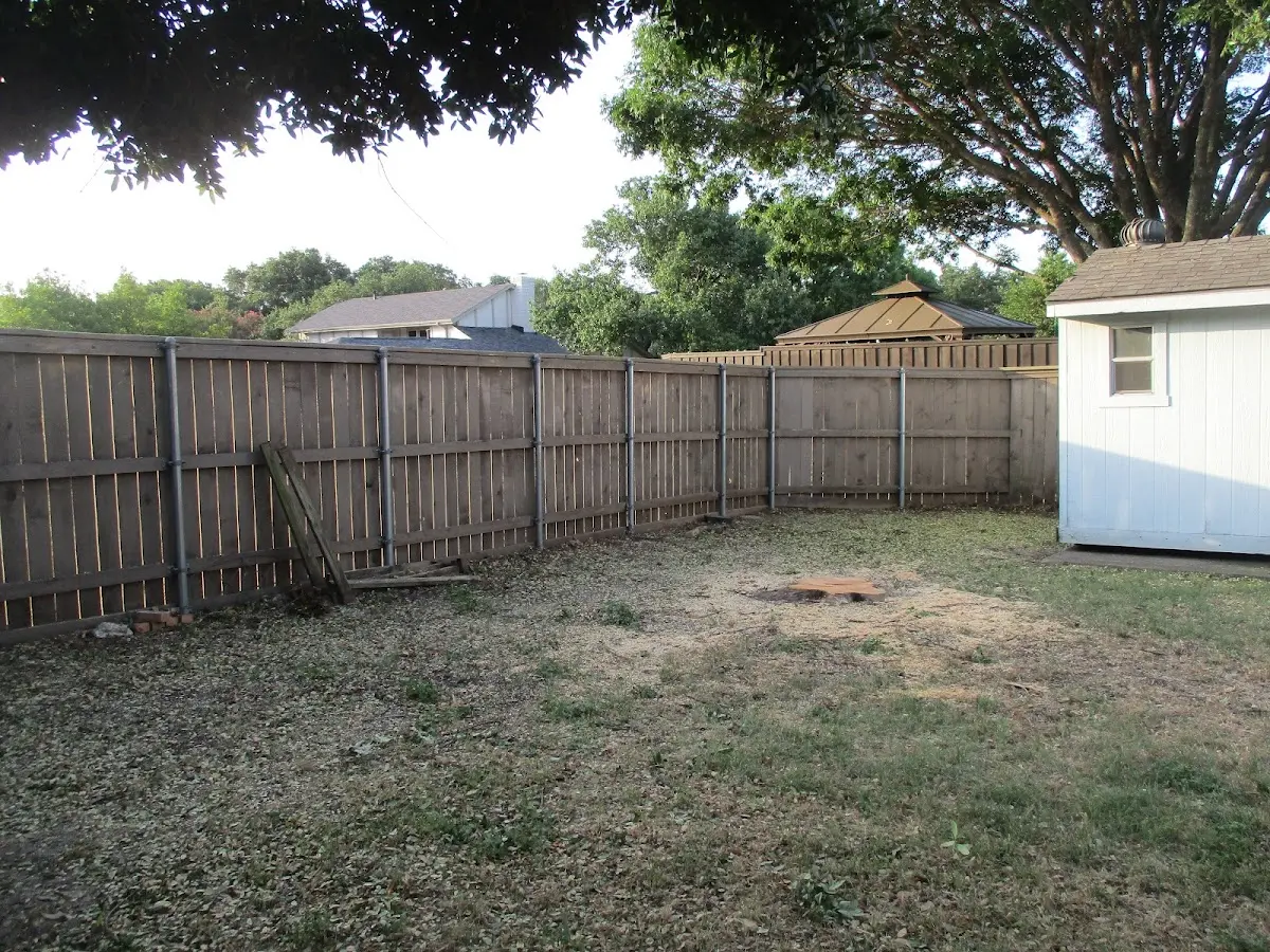 Cleared yard after professional tree removal in Windsor Heights